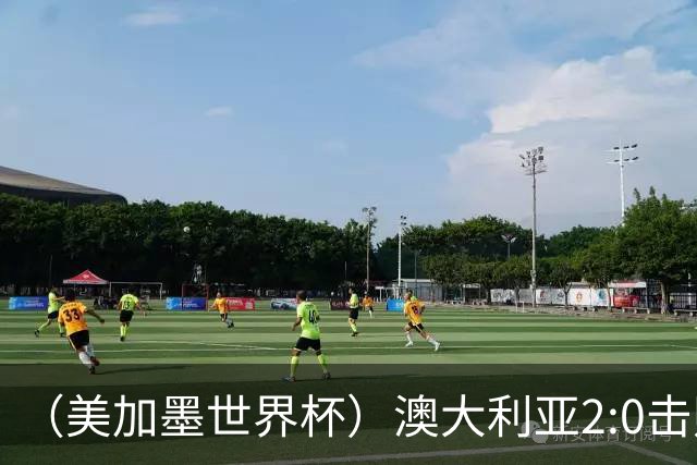 （美加墨世界杯）澳大利亚2:0击败土耳其 中国裁判迎本届杯赛首秀